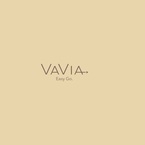 VaVia Dumpster Rental Austin TX - Austin, TX, USA