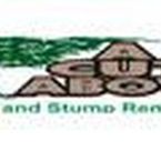 A Cut Above Tree & Stump Removal, Inc. - Oak Forest, IL, USA