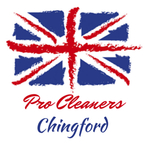 Pro Cleaners Chingford