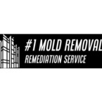 #1 Mold Removal & Remediation - Champlin, MN, USA