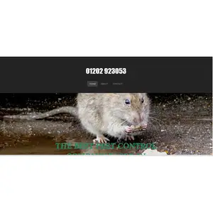 Best Pest Control Company - Yeovil, Somerset, United Kingdom