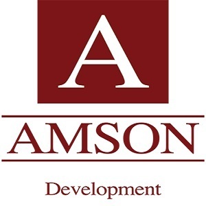 Amson Development Services, LLC - Farmington Hills, MI, USA