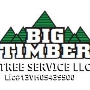 Big Timber Tree Service LLC - Marlton, NJ, USA