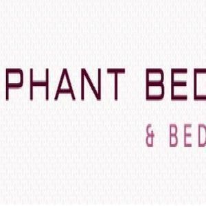 Elephant Beds - Cardiff, Cardiff, United Kingdom