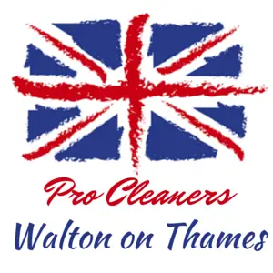 Pro Cleaners Walton on Thames