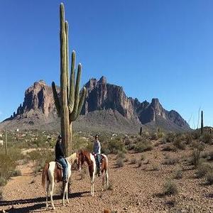 Superstition Trail Rides - Apache Junction, AZ, USA
