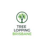 Brisbane Tree Care - Geebung, QLD, Australia