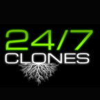 24/7 Clones - Redlands, CA, USA