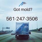 A Plus Mold Remediation Inc - West Palm Beach, FL, USA