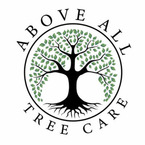 Above All Tree Care - Thames Ditton, Surrey, United Kingdom