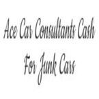 Ace Car Consultants - Clinton Twp, MI, USA