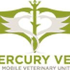 Mercury Vets - Ashburton, Devon, United Kingdom