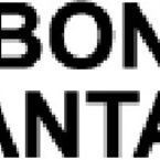 Bail Bonds of Santa Ana - Santa Ana, CA, USA