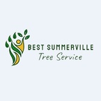 Best Tree Service Summerville, SC - Summerville, SC, USA