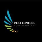 Pest Control Huntington NY - Smithtown, NY, USA