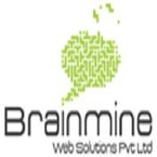 Brainmine Web Soutions - Milwaukee, WI, USA