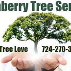 Cranberry Tree Care Service - Cranberry Township, PA, USA