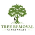 Tree Removal Cincinnati - Cincinnati, OH, USA