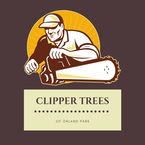 Clipper Tree Removal Service of Orland Park - Orland Park, IL, USA