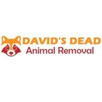 David\'s Dead Mice Removal Hobart - Hobart, TAS, Australia