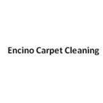 Encino Carpet Cleaning - Encinco, CA, USA