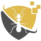Des Moines Pest Control - Des Moines, IA, USA