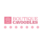 Boutique Cavoodles - Ringwood, VIC, Australia
