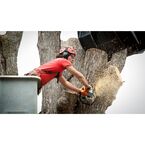 Asnuntuck Tree Services - Enfield, CT, USA