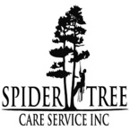 Spiders Tree Care Service - Hull, GA, USA