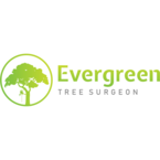 Evergreen Tree Surgeon - Wisbech, Cambridgeshire, United Kingdom