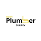 Expert Plumber Surrey - Surrey, BC, Canada