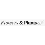 Flowers & Plants Co. - London, London W, United Kingdom