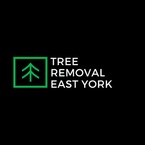Tree Removal East York - East York, ON, Canada