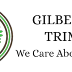 Gilbert Tree Removal Pros - Gilbert, AZ, USA