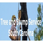 Tree and Stump Service SC - Colombia, SC, USA