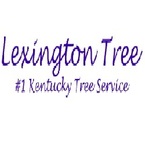 Green Tree Service - Lexington - Lexington, KY, USA