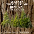 Augusta Tree & Stump Removal Services - Green Bay, WI, USA