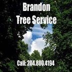 Brandon Tree Service - Brandon, MB, Canada