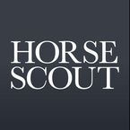 Horse Scout - Stockbridge, Hampshire, United Kingdom