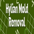 Hylian Mold Removal - Cape Canaveral, FL, USA