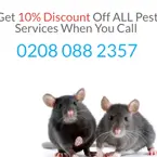 Croydon Pest Services - Croydon, Surrey, United Kingdom