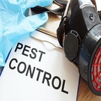 Pest Control Experts of Laurel Grove - Orange Park, FL, USA