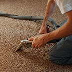 Carpet Cleaning Greenwich