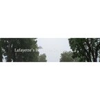 Lafayette Best Tree Service - Lafayette, LA, USA