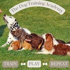 The Dog Training Academy - Miami, FL, USA