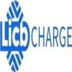 China LiCB AC DC EV Charger Co., Ltd - Motueka, Abel Tasman, New Zealand