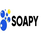 SOAPYCLEAN - House Cleaning & Maid Service Orlando - Orlando, FL, USA