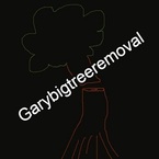 Biggarytreeremoval - Gary, IN, USA