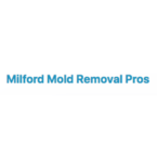 Milford Mold Removal Pros - Milford, NH, USA