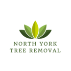 Tree Removal North York - North York, ON, Canada
